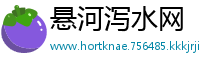 悬河泻水网